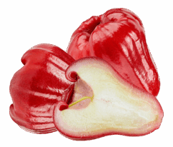 product-7